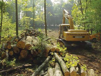 Clearing the Building Lot | Photo by: Wisconsin Log Homes